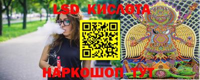 гидра Дубна