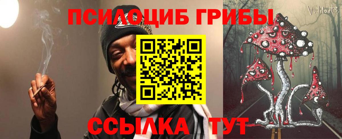Галлюциногенные грибы Psilocybine cubensis  Вход с VPN  Дивногорск 